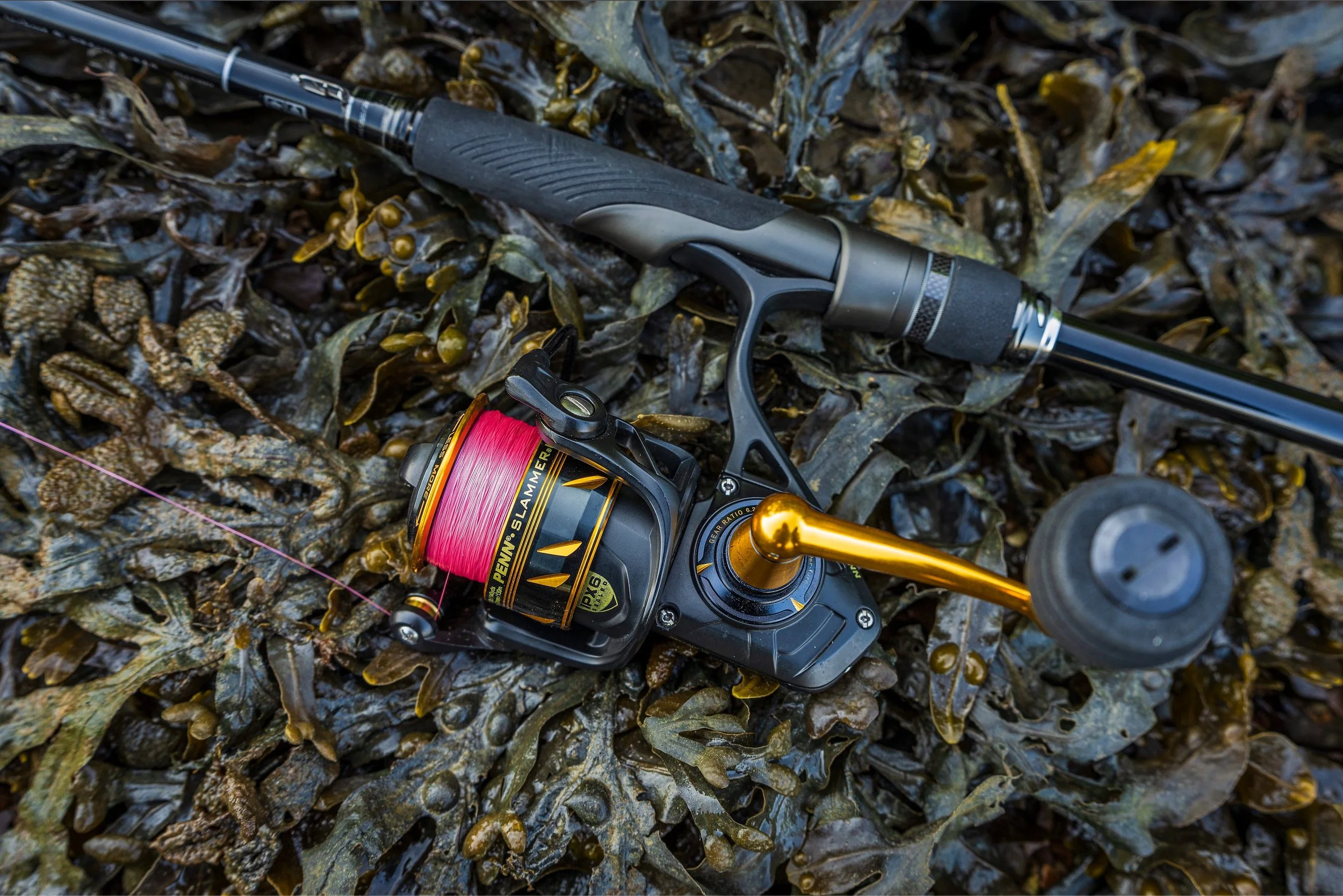 Initial impressions - Gosen Answer Casting PE X16 braid (pretty
